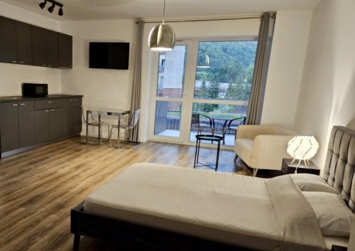 /images/accms/15735/apartament-walter-studio-sinaia-500x353.jpg