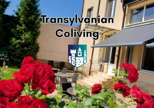 /images/accms/16309/transylvanian-coliving-sibiu-500x353.jpg